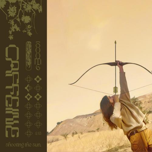 brakence - caffeine