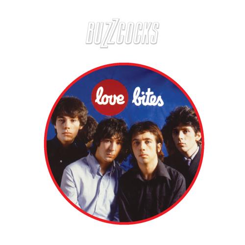 Buzzcocks - Ever Fallen in Love (With Someone You Shouldn't've) (1996 Remastered Version)