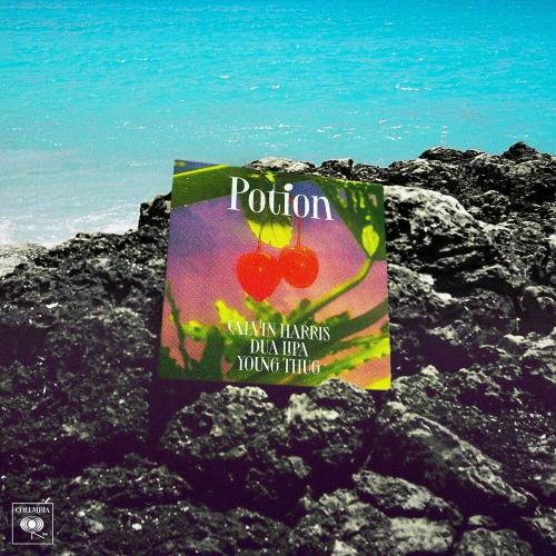 Calvin Harris, Dua Lipa & Young Thug - Potion