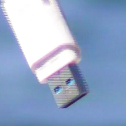 cleopatrick - HAMMER