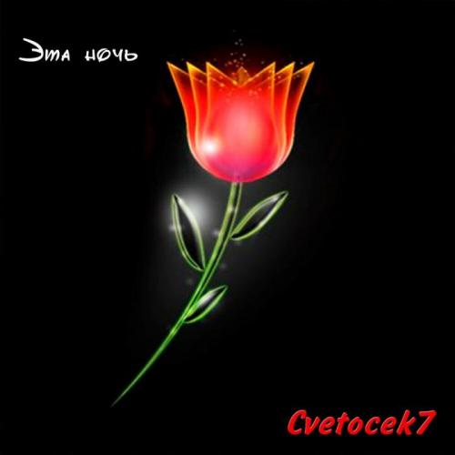 Cvetocek7 - Эта ночь