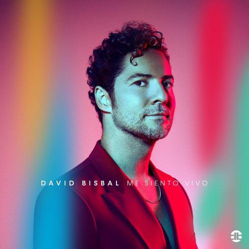 David Bisbal - Todo Lo Que Quieras Hacer