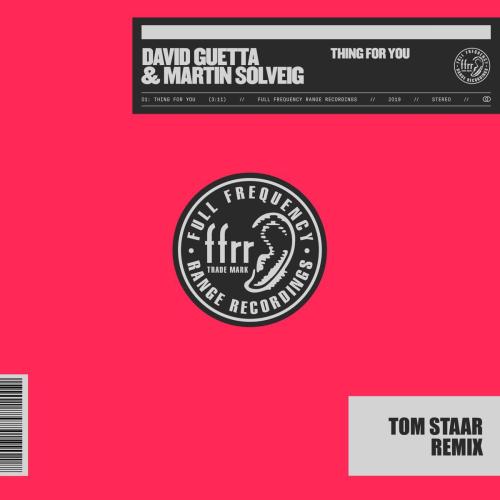 David Guetta & Martin Solveig - Thing for You (Tom Staar Remix)