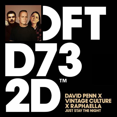 David Penn, Vintage Culture & Raphaella - Just Stay The Night