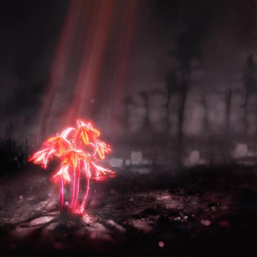 Enter Shikari - (pls) set me on fire