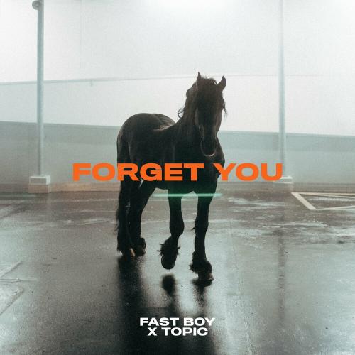 FAST BOY & Topic - Forget You