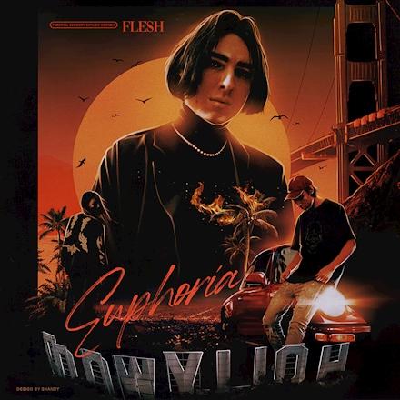 FLESH - FINE