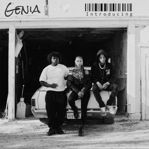 Genia - Introducing