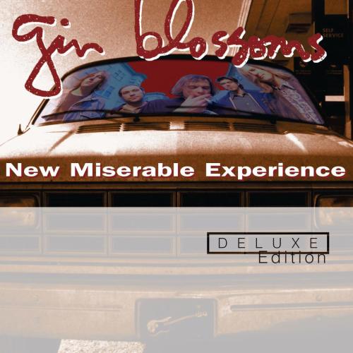 Gin Blossoms - Hey Jealousy