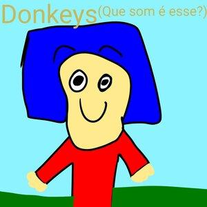 Heitor Fonseca Amaro - Donkeys (Que som é esse)