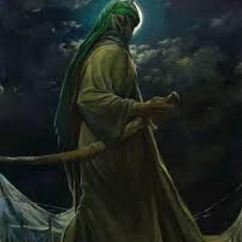 Hüseyin eren Özer - Revolution of tora bora