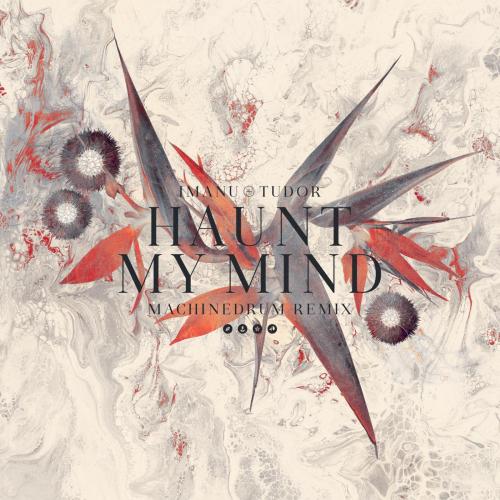 IMANU & Tudor - Haunt My Mind (Machinedrum Remix)