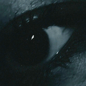 jūldyz bala - qalaimyn