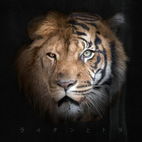 Janaga & TENCA - Не из вашего круга