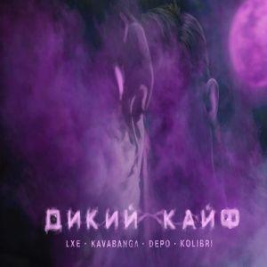 LXE feat. Kavabanga Depo Kolibri - Дикий Кайф (KLAYMR Remix)