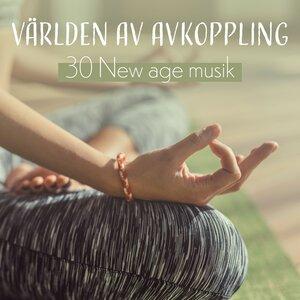 Mindfulness Meditation Världen - Wellnessritualen för själ