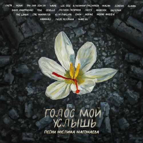 MIRAVI & Merab Amzoevi - Шум Берёз