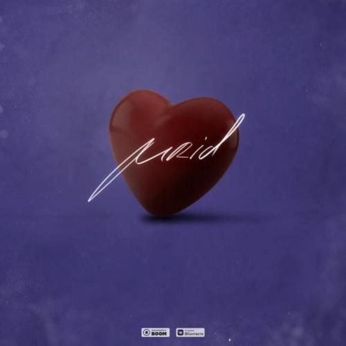 MriD - Сердце