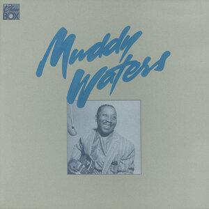 Muddy Waters - Mannish Boy