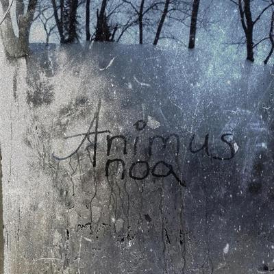 noa - Animus