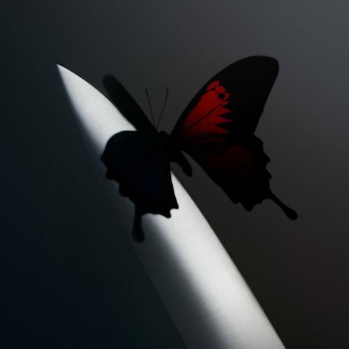 Post Malone feat. The Kid Laroi - Wasting Angels