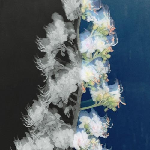 Rauf & Faik - ALONE AGAIN