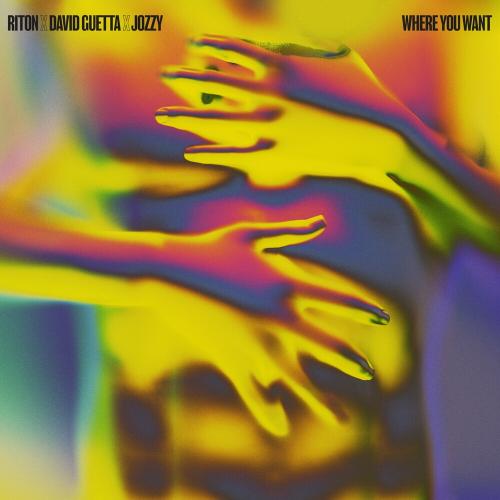 Riton feat. David Guetta & Jozzy - Where You Want