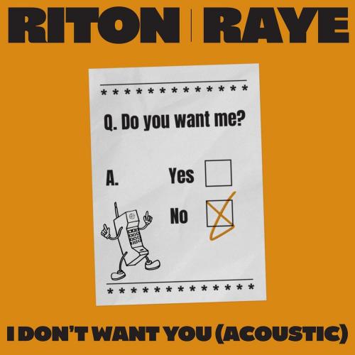 Riton & Raye - I Don't Want You (Acoustic)