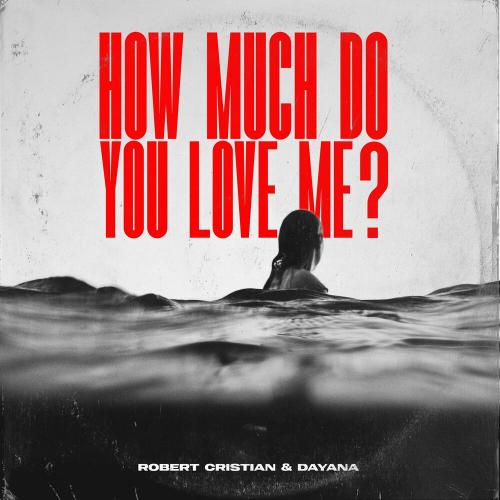 Robert Cristian & Dayana - How much do you love me