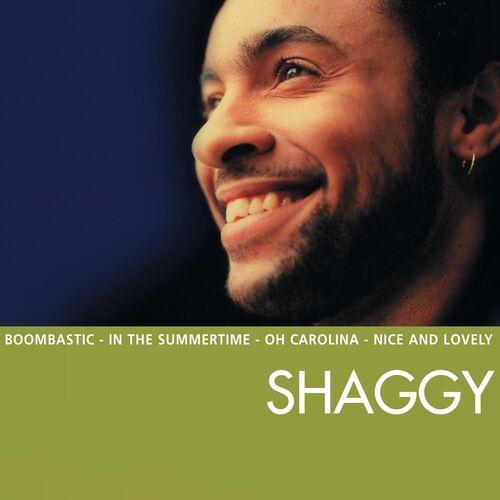 Shaggy - Boombastic