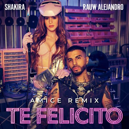 Shakira feat. Rauw Alejandro - Te Felicito (Amice Remix)