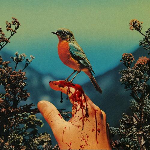Winona Oak - Fragile Thing